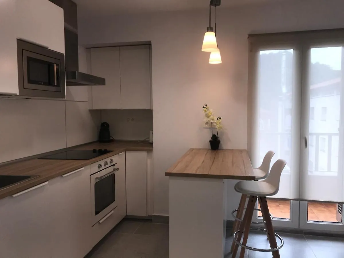 En El Corazon De Orio - Donostia -Reformado- Wifi Apartment Spain